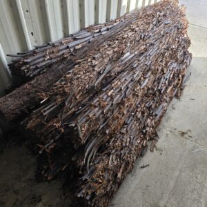 Punga Logs