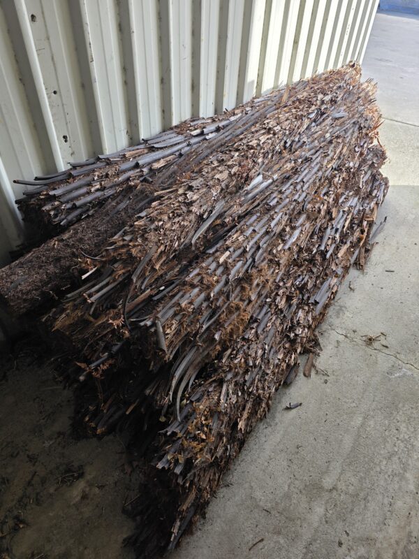 Punga Logs